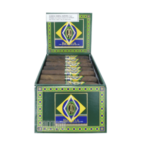 CAO Brazilia Corcovado