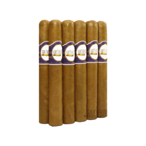 Gotham Connecticut Toro